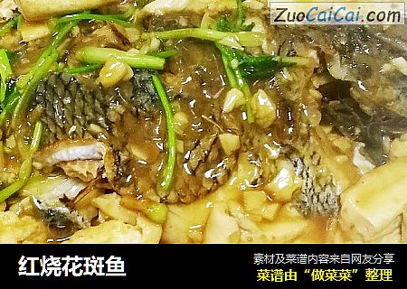 红烧花斑鱼