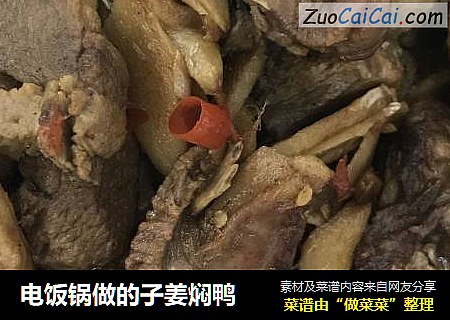 电饭锅做的子姜焖鸭
