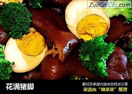 花满猪脚