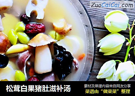 松茸白果猪肚滋补汤