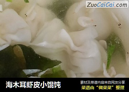 海木耳虾皮小馄饨