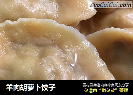 羊肉胡萝卜饺子