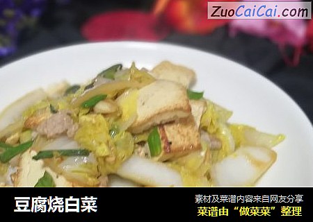 豆腐烧白菜