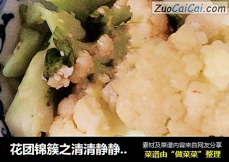 花团锦簇之清清静静香油花菜??