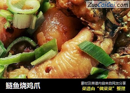 鲢鱼烧鸡爪