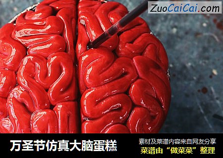 万圣节仿真大脑蛋糕