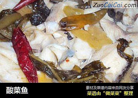 酸菜鱼
