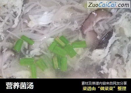 营养菌汤