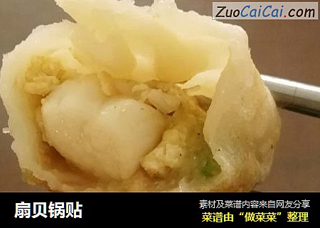 扇贝锅贴