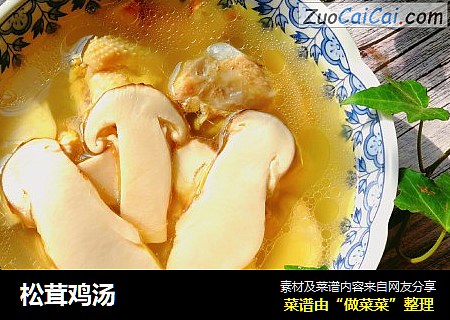 松茸鸡汤