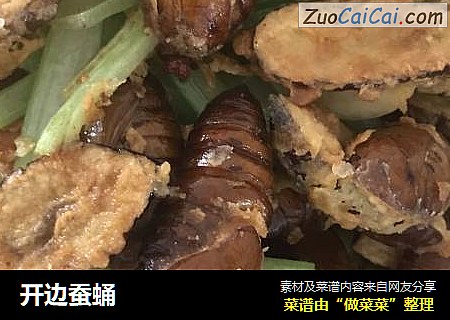 开边蚕蛹