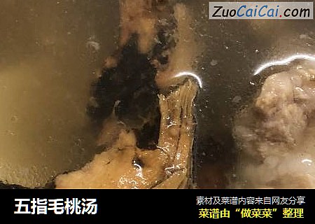 五指毛桃汤