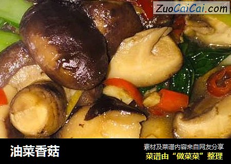 油菜香菇