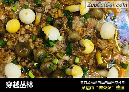 穿越丛林
