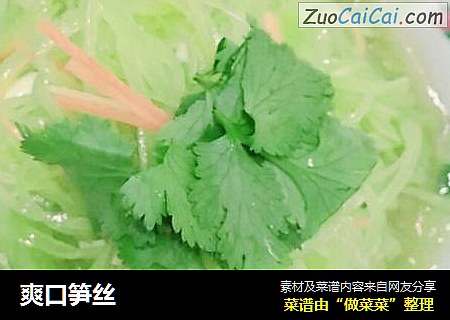 爽口笋丝