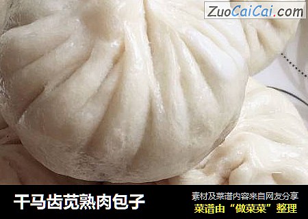 干马齿苋熟肉包子