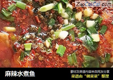 麻辣水煮鱼