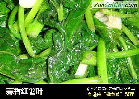 蒜香红薯叶