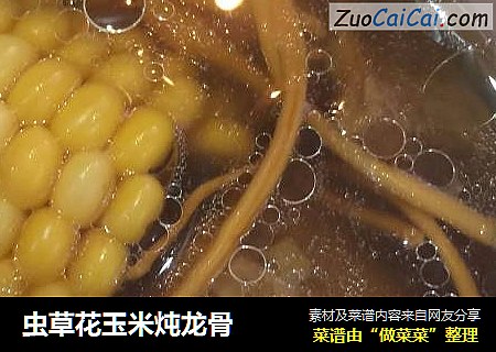 虫草花玉米炖龙骨