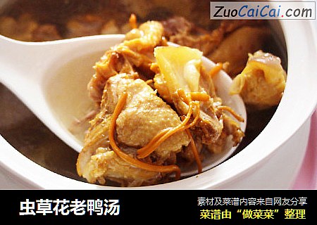  虫草花老鸭汤