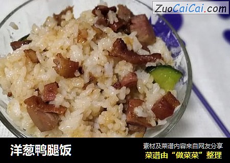 洋葱鸭腿饭