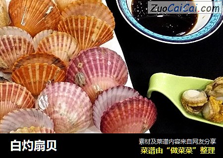 白灼扇贝