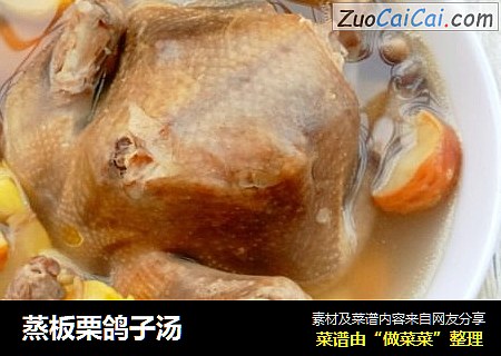 蒸板栗鸽子汤