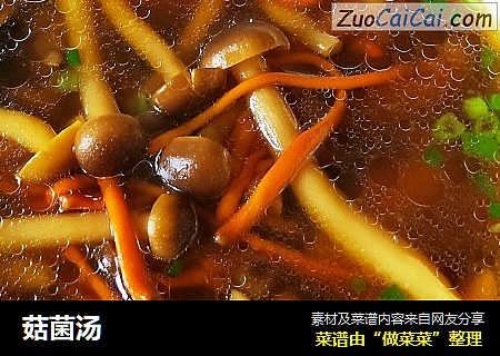 菇菌汤