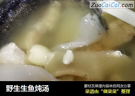 野生生鱼炖汤