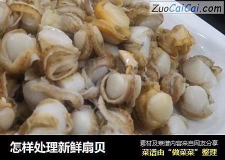 怎样处理新鲜扇贝