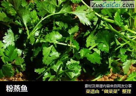 粉蒸鱼