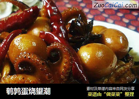 鹌鹑蛋烧望潮