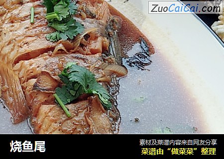 烧鱼尾