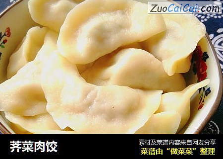 荠菜肉饺