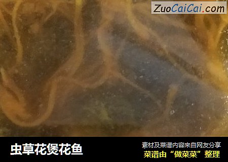 虫草花煲花鱼