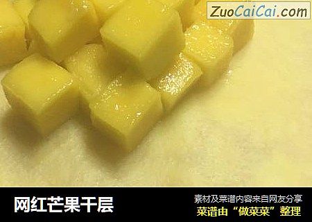 网红芒果千层