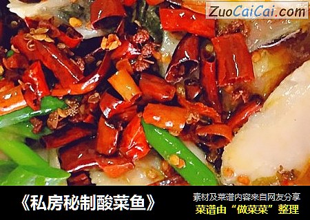 《私房秘制酸菜鱼》