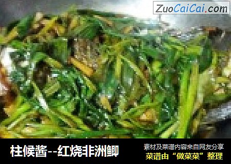 柱候酱--红烧非洲鲫