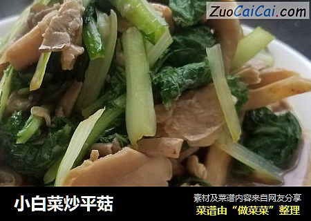 小白菜炒平菇