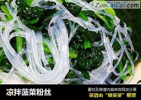 凉拌菠菜粉丝