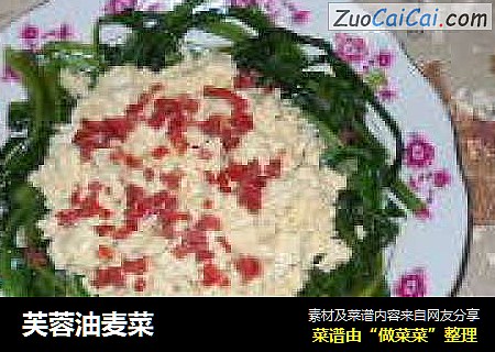 芙蓉油麦菜