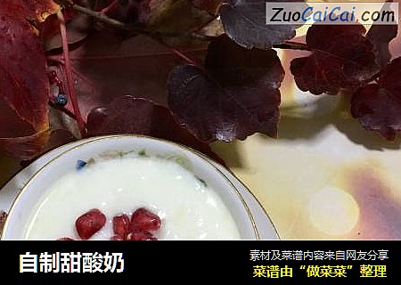 自制甜酸奶