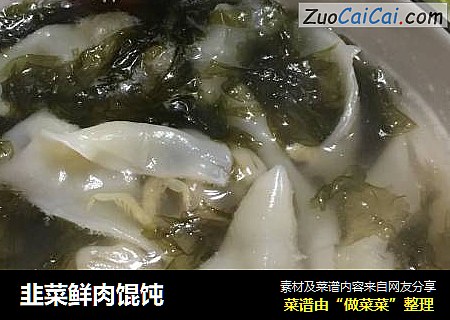 韭菜鲜肉馄饨