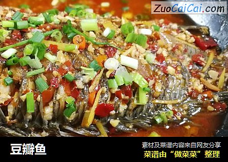 豆瓣鱼