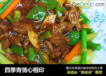 四季青情心相印