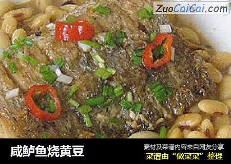 咸鲈鱼烧黄豆