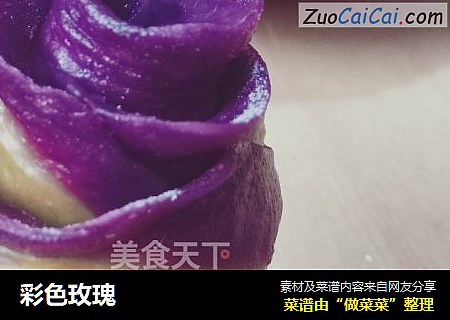 彩色玫瑰