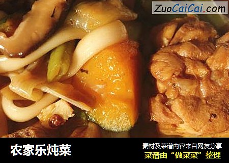 农家乐炖菜
