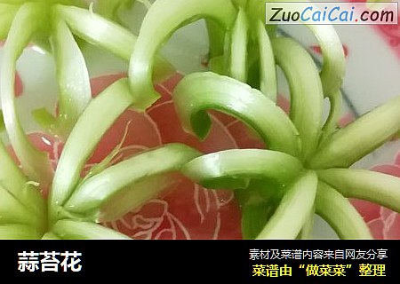 蒜苔花