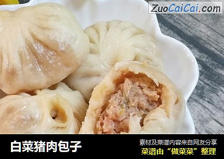 白菜猪肉包子